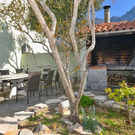 Villa Jelena Makarska Eksteriør bilde